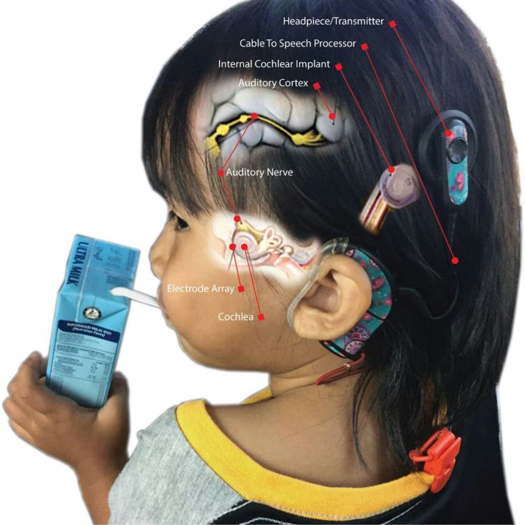 a7c274b4-e858-4823-9ae1-244dfef8cdc9